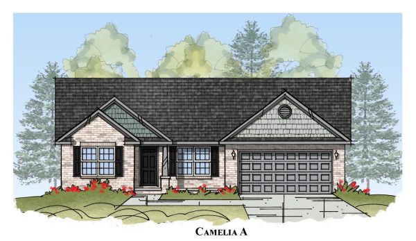 Camelia With Bonus - Single Story House Plans