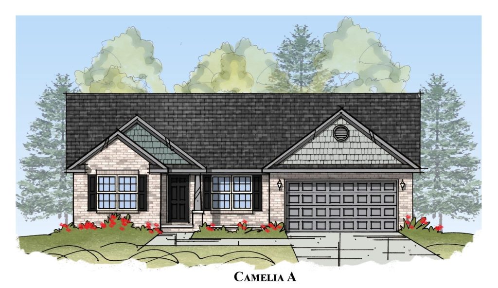 Camelia - Single Story House Plans